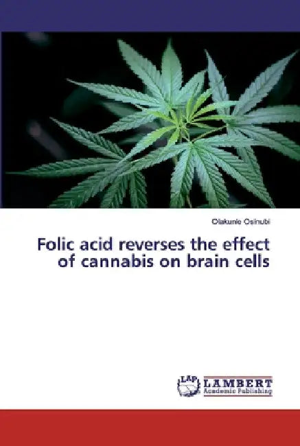 Folic acid reverses the effect of cannabis on brain cells by Olakunle Osinubi