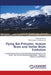 Flying Bat Primates- Human Brain and Stellar Brain Evolution by Ravikumar Kurup, Parameswara Achutha Kurup