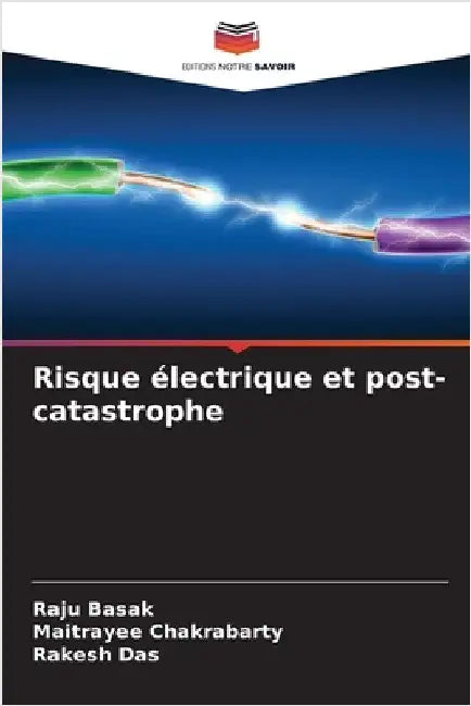 Risque électrique et post-catastrophe by Basak, Raju