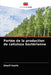 Portée de la production de cellulose bactérienne by Sherif Keshk