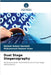 Dual Stage Steganography by Qureshi, Raheel Aslam