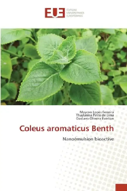 Coleus aromaticus Benth by Maycon Lopes Ferreira