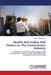 Health And Safety Risk Factors In The Construction Industry by Victor Mutugi Kariuki