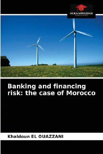 Banking and financing risk: the case of Morocco by Khaldoun El Ouazzani
