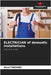 ELECTRICIAN of domestic installations by Tapsoba, Aimé