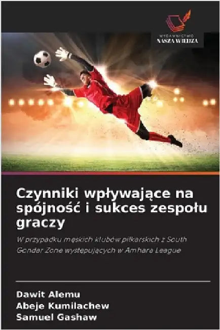 Czynniki wplywające na spójnośc i sukces zespolu graczy by Alemu, Dawit
