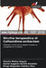 Nicchia terapeutica di Ceftazidime-avibactam by Natalia Muñoz-Angulo, Daniel Augusto Martin-Arsanios, Diego Alejandro Cubides-Diaz