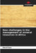 New challenges in the management of mineral resources in Africa by Cherif Sow
