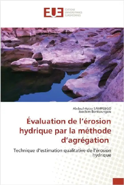 Évaluation de l'érosion hydrique par la méthode d'agrégation by Sampebgo, Abdoul-Azize