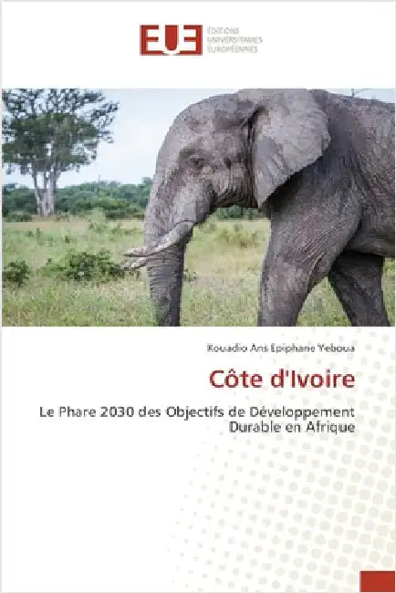 Côte d'Ivoire by Yeboua, Kouadio Ans Epiphane