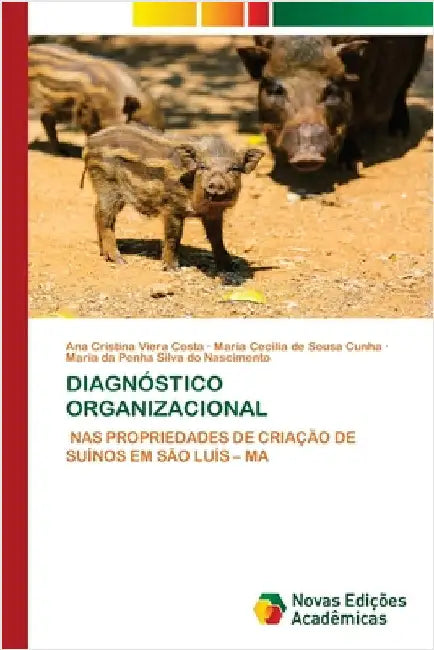 Diagnóstico Organizacional by Ana Cristina Viera Costa