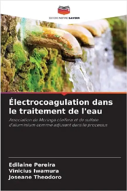 Électrocoagulation dans le traitement de l'eau by Pereira, Edilaine