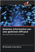 Sistema informativo per una gestione efficace by Evies Barco, Ali Neomar