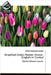 Simplified Arabic Reader (Arabic-English) in Context by K. M. a. Ahamed Zubair