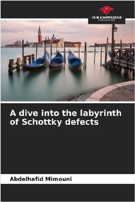 A dive into the labyrinth of Schottky defects by Mimouni, Abdelhafid