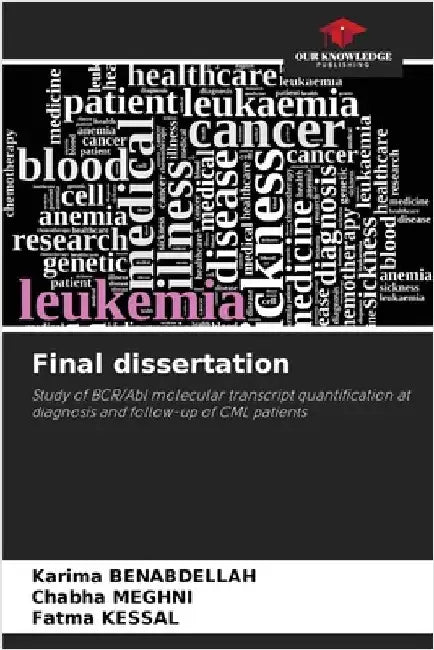 Final dissertation by Karima Benabdellah