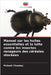 Manuel sur les huiles essentielles et la lutte contre les insectes ravageurs des céréales stockées by Chaubey, Mukesh