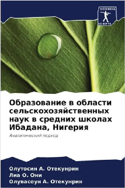Образование в области се by Отекуl