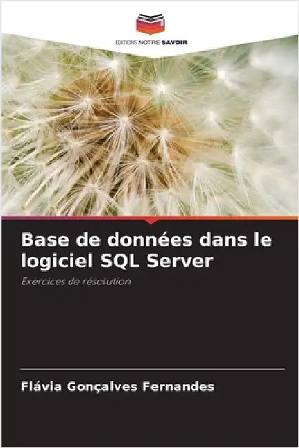 Base de données dans le logiciel SQL Server by Flávia Gonçalves Fernandes