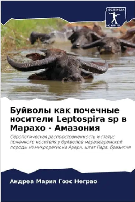 Буйволы как почечные нос by Неграl