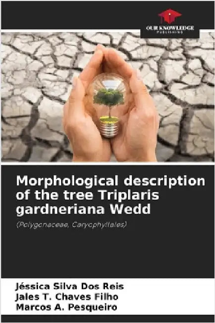 Morphological description of the tree Triplaris gardneriana Wedd by Jéssica Silva Dos Reis