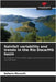 Rainfall variability and trends in the Rio Doce/MG basin by Mazzutti, Rafaela