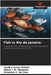 Fish in Rio de Janeiro by Cynthia Annes Rubião