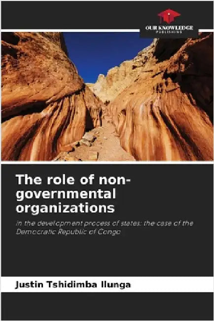 The role of non-governmental organizations by Justin Tshidimba Ilunga
