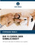 Die 9 Codes Der Sinnlichkeit by Stéphane Mably