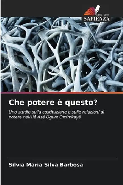Che potere è questo? by Sílvia Maria Silva Barbosa