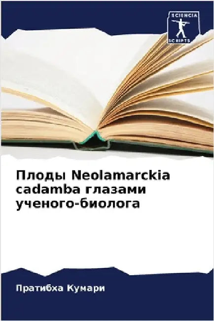 Плоды Neolamarckia cadamba глазами ученог& by Кумарl