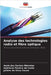 Analyse des technologies radio et fibre optique by Assis Dos Santos Meireles