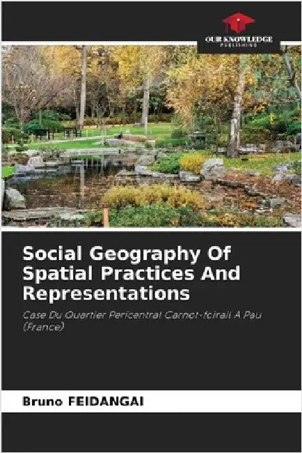 Social Geography Of Spatial Practices And Representations by Bruno Feidangai