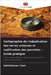 Cartographie de l'adjudication des terres urbaines et codification des parcelles: Guide pratique by Kalid Hassen Yasin