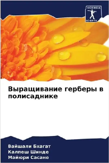 Выращивание герберы в по by Бхагаm