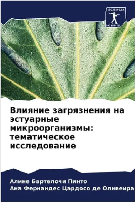 Влияние загрязнения на э by Пинто, 