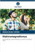 Elektromagnetismus by Segda, Abdoul-Kader
