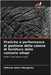 Pratiche e performance di gestione della catena di fornitura delle concerie etiopi by Mekuria Abera Mengesha