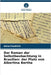 Der Roman der Selbstbeobachtung in Brasilien: der Platz von Albertina Bertha by Faedrich, Anna
