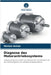Diagnose des Motorantriebssystems by Meriem Behim