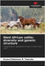 West African cattle: diversity and genetic structure by Tapsoba, Arnaud Stéphane R.