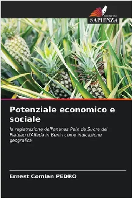 Potenziale economico e sociale by Ernest Comlan Pedro