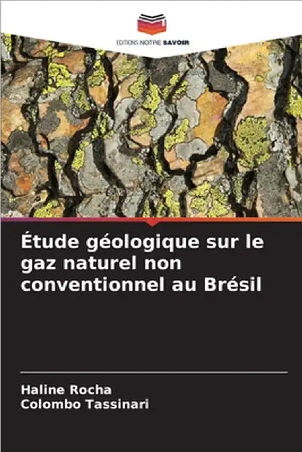 Étude géologique sur le gaz naturel non conventionnel au Brésil by Haline Rocha