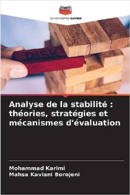 Analyse de la stabilité: théories, stratégies et mécanismes d'évaluation by Mohammad Karimi
