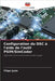 Configuration du DSC à l'aide de l'outil PSIM/SimCoder by Ijuim, Filipe