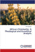 African Christianity: A Theological and Ecoethical Analysis by Ron Macaulay