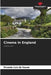 Cinema in England by Ricardo Luiz De Souza