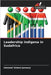 Leadership indigena in Sudafrica by January, Ishmael Xolani