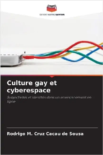 Culture gay et cyberespace by Rodrigo M. Cruz Cacau de Sousa