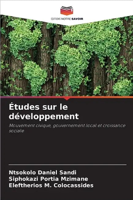 Études sur le développement by Ntsokolo Daniel Sandi